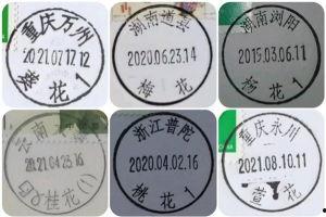 国产爆料 第4页