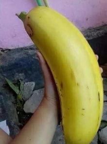 国产吃瓜婊 第3页